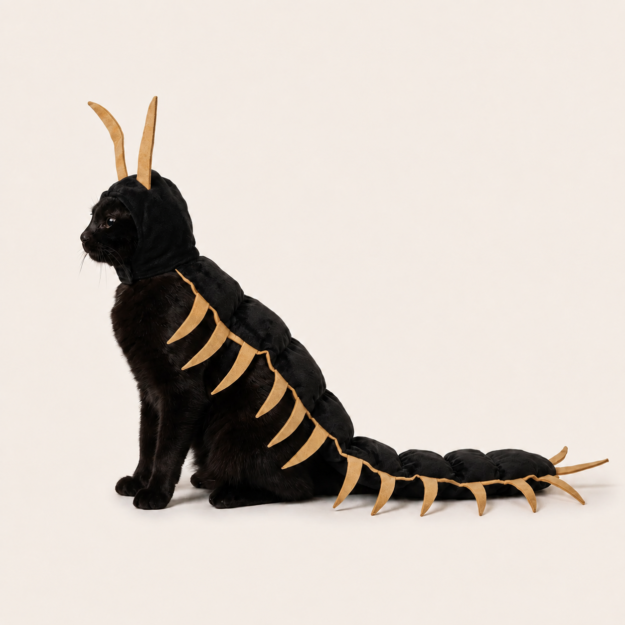 Krawly Cat Centipede Costume